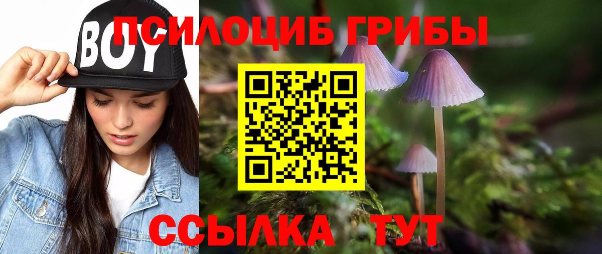 Галлюциногенные грибы Psilocybine cubensis Искитим