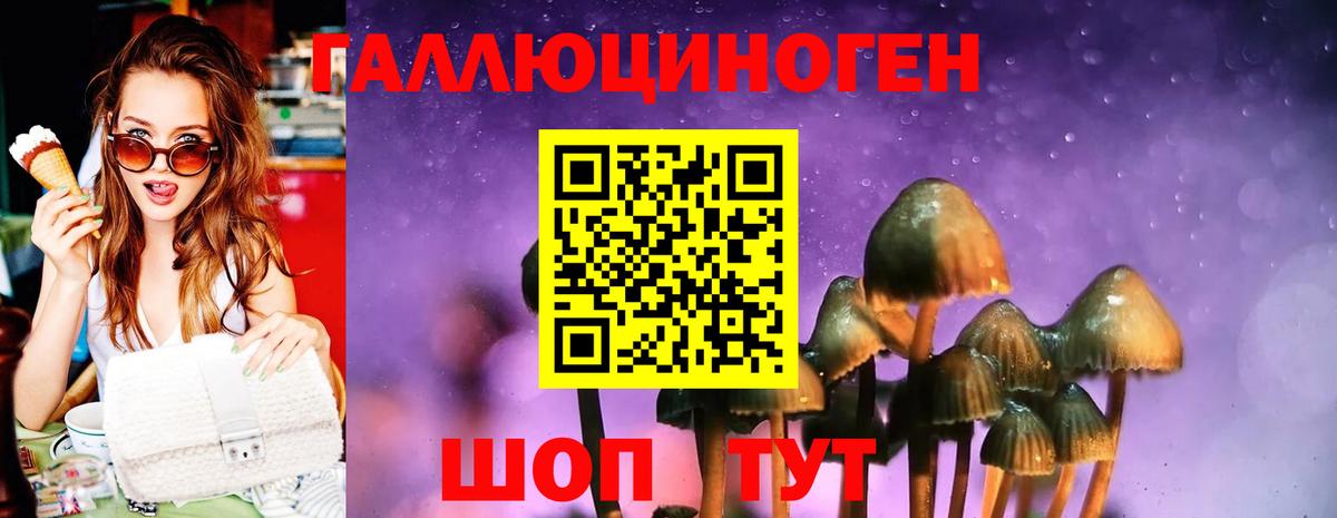 Искитим  Псилоцибиновые грибы мухоморы  Вход с VPN 